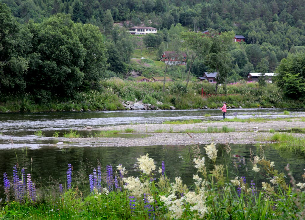 Глазами очевидцев: река Сюрна. Норвегия