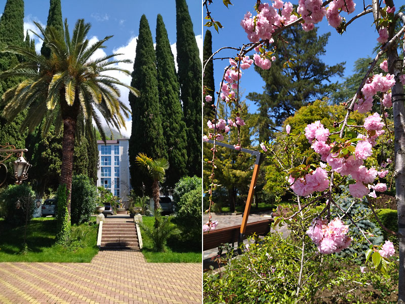 ������� ���������: ������� ���������� ���������. ���� ����-�����