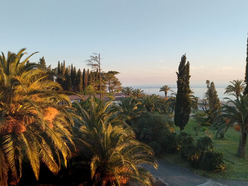 ������� ���������: �����. ��� �� ������ � ����� "����"