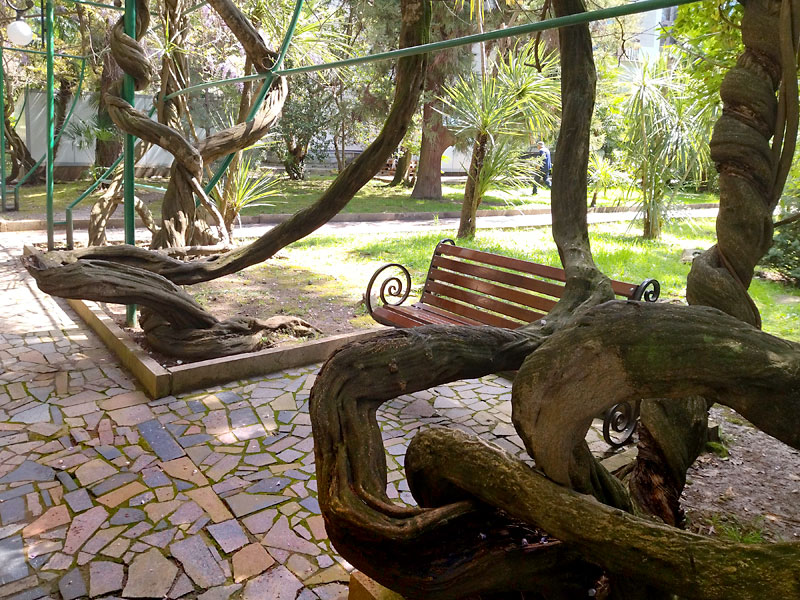 ������� ���������: ��������. ������ ����-�����