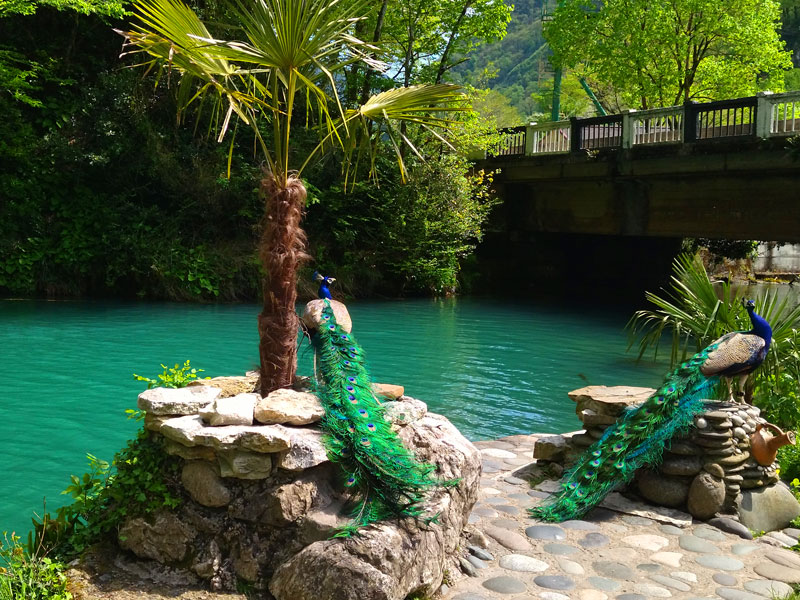 ������� ���������: ��������� ����. ������� �����