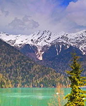 ����� ����