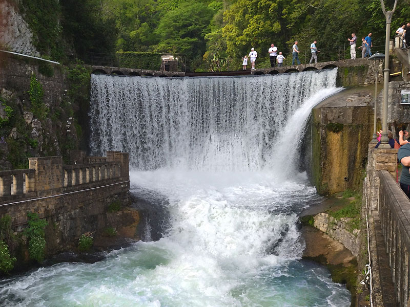 ������� ���������: ������������ ���. ������������ �������