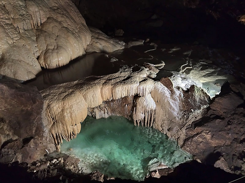 ������� ���������: ��� "����������". ������