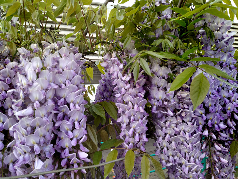 ������� ���������: �������� �����. �������