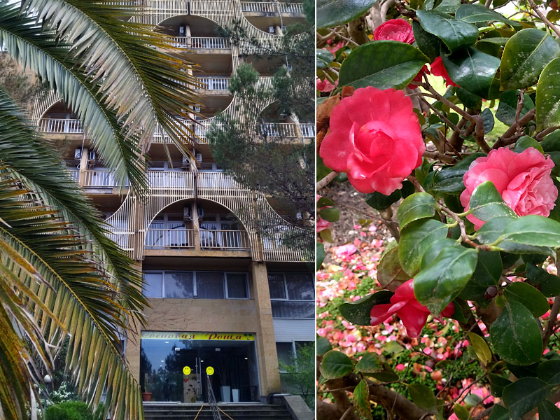 ������� ���������: ���������. �������