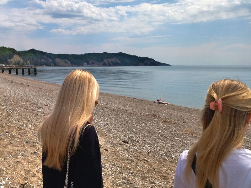 ������� ���������: ��� �������. ������������ ��������� �������