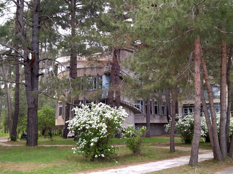 ������� ���������: "��������". ���������-�������