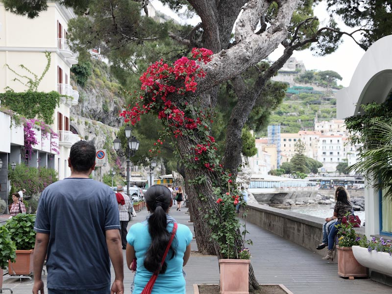 ������� ���������: ����� �������. �����������