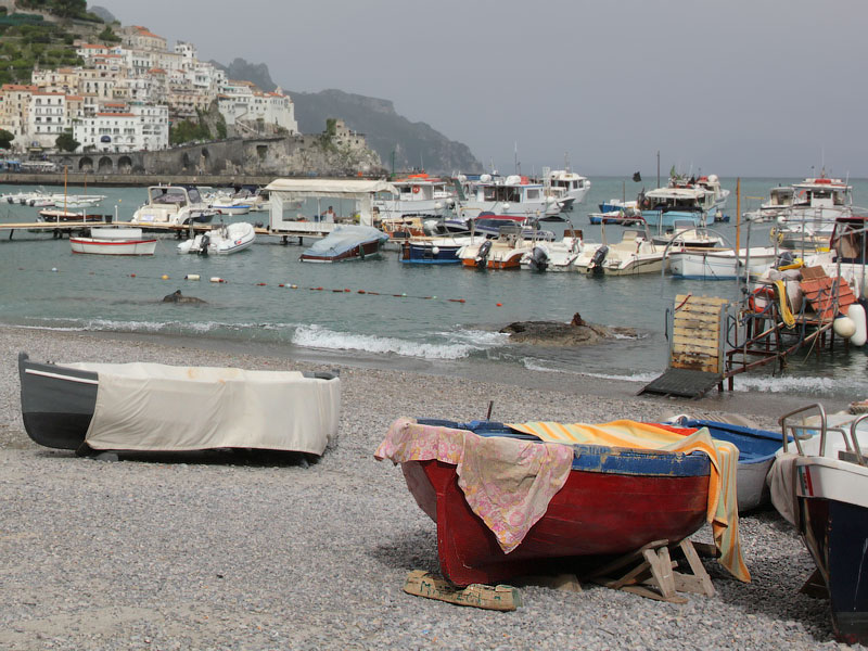 ������� ���������: �� ������. �����