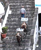 ������ �� ��������