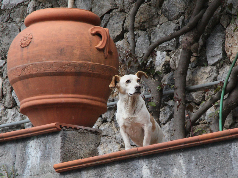 ������� ���������: �� �����. �������