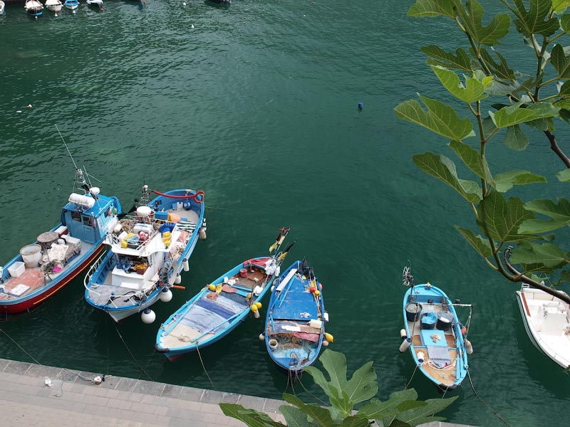 ������� ���������: ����� � ���������� ������. ������