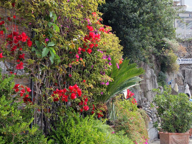 ������� ���������: ����� � �����. ��������