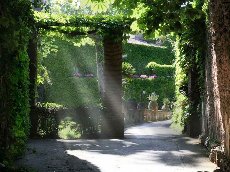 ������� ���������: ����� ��������. �������