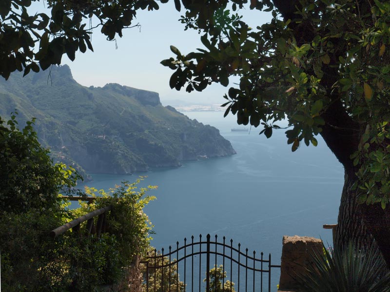 ������� ���������: ���� �� ����� � ��������� ��������. ����� ��������