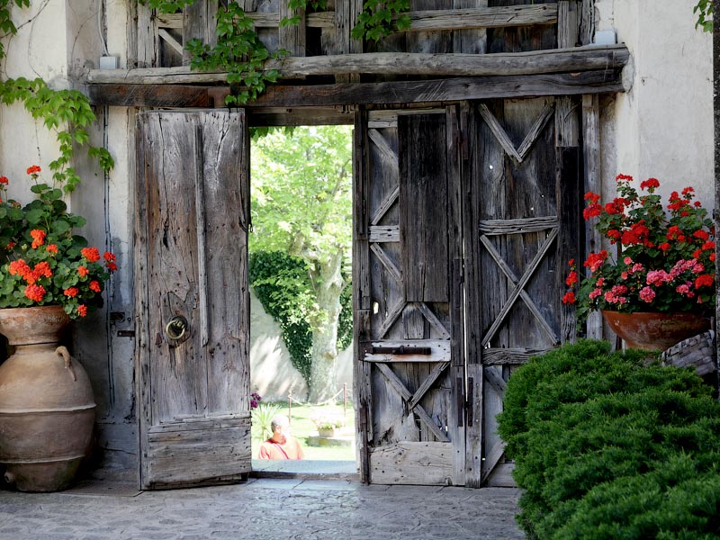 ������� ���������: � ����� � ���, ������, ������ �� ����. ����� ��������