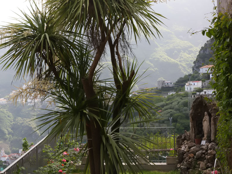 ������� ���������: ��� ������ �������. �������