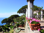 ������� ���� ����� ������