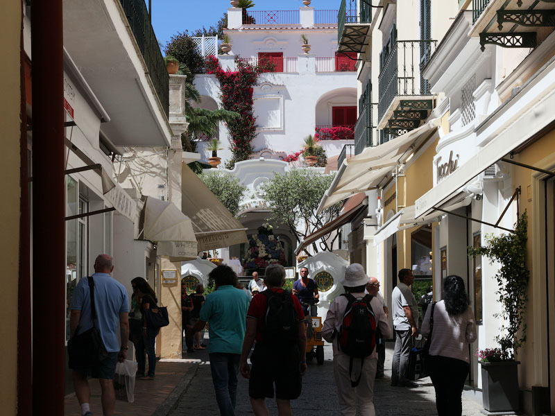 ������� ���������: ���� ������. �����