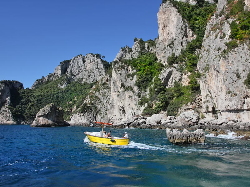 ������� ���������: ������ �� �������. �����