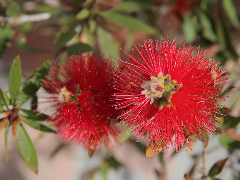 ������� ���������: ������-�����. ����� � ��������