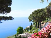 ����� �����������