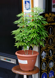 ������� �� ����� - ���������� ��������