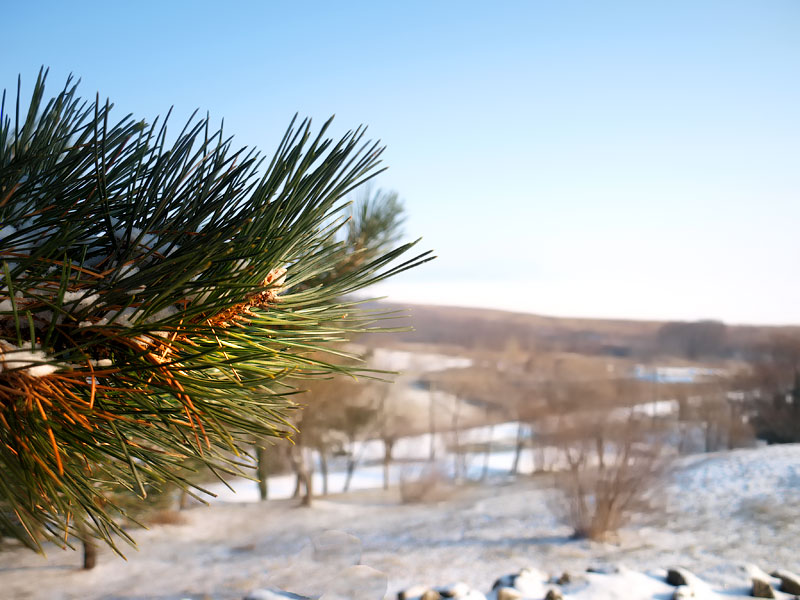 ������� ���������: ����� � ������ �������. ����� ����� ��� ������� � ������