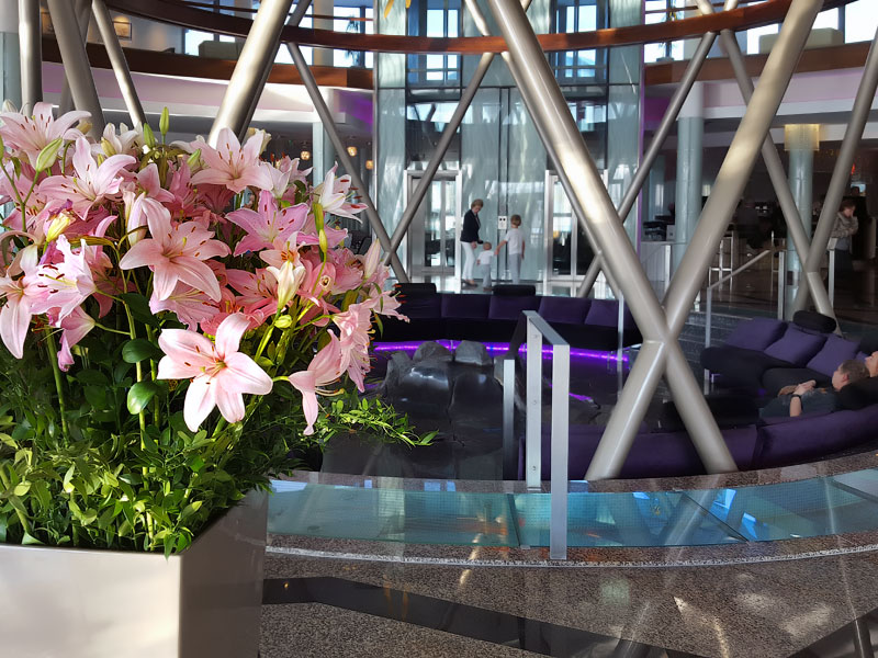 ������� ���������: ������ ���-����� �������. ����� Spirit