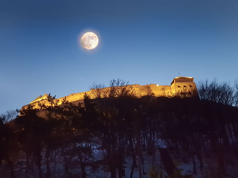 ������� ���������: ���� �������. ����������