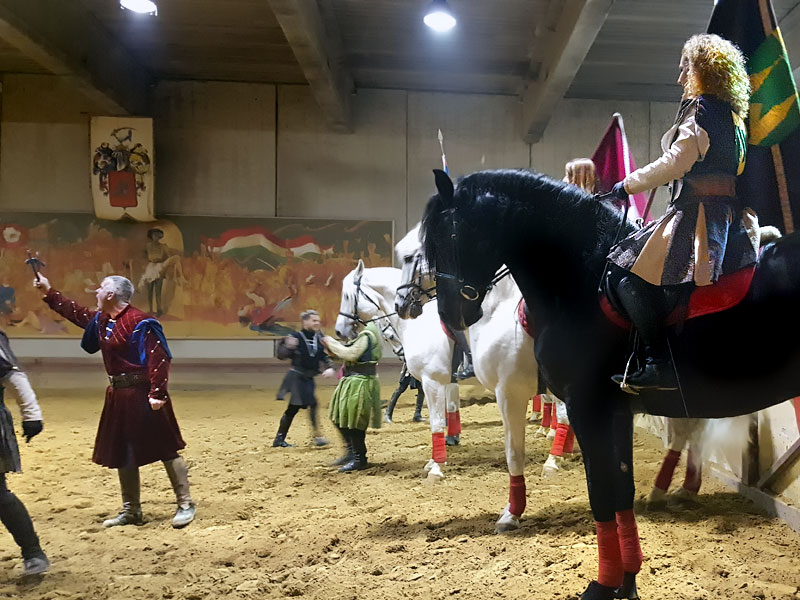 ������� ���������: ������������ �������������. � ��������