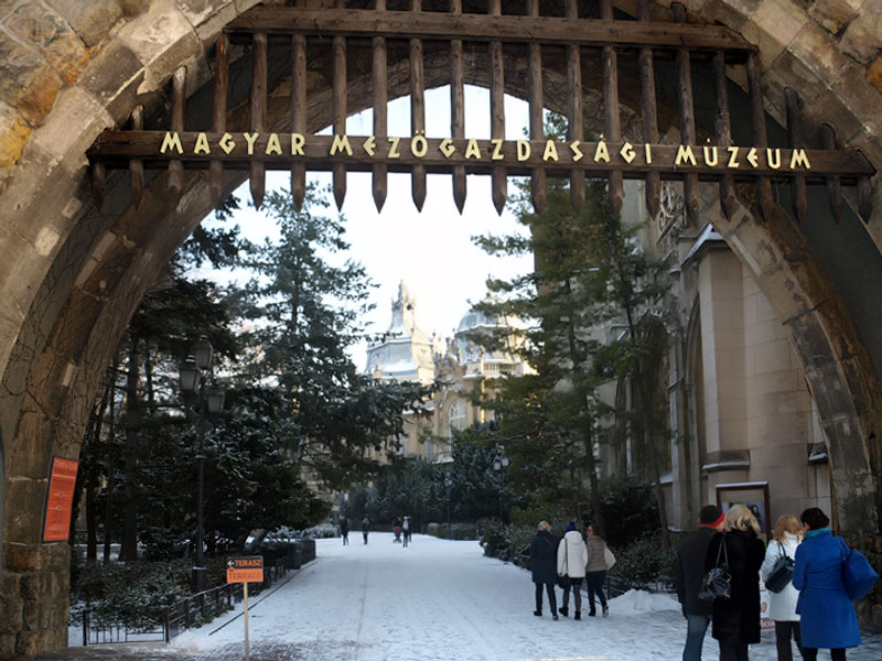 ������� ���������: ������ � ���� ���. ������ �����