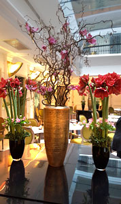 ����� ���������