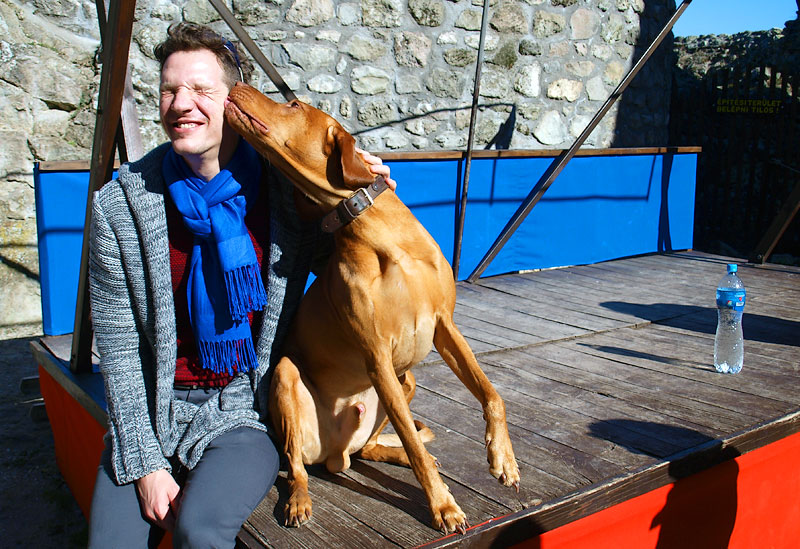 ������� ���������: ���������� �����. �������