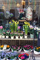 �� ������ ���������