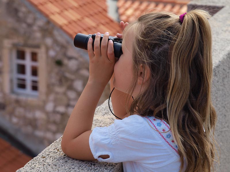 ������� ���������: ������ � �������. �� ���������� �����