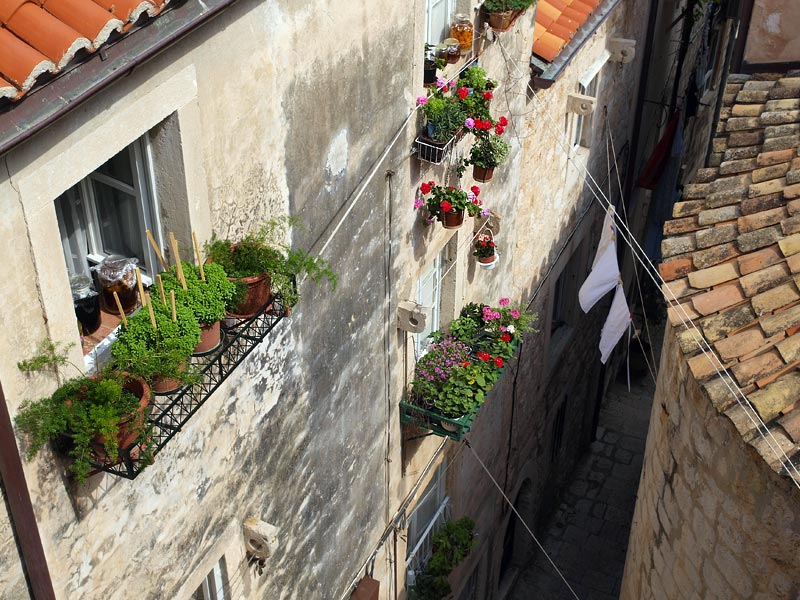 ������� ���������: ������������ ����� � ������� ����. � �������� ������