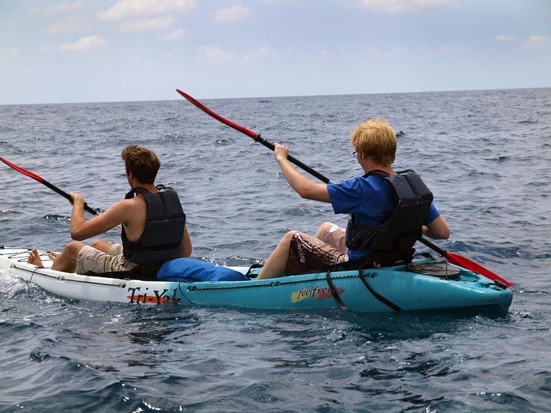 ������� ���������: ������� � ������������� ����. ���� � �����