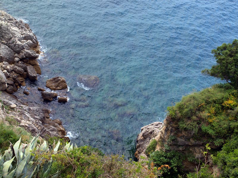 ������� ���������: ������ ����� ��� ������. ��� ��������� � �����