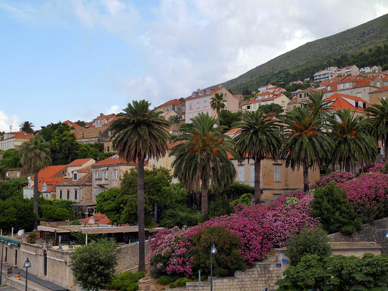 ������� ���������: ��� �� ����� �� �����-���������. ���������