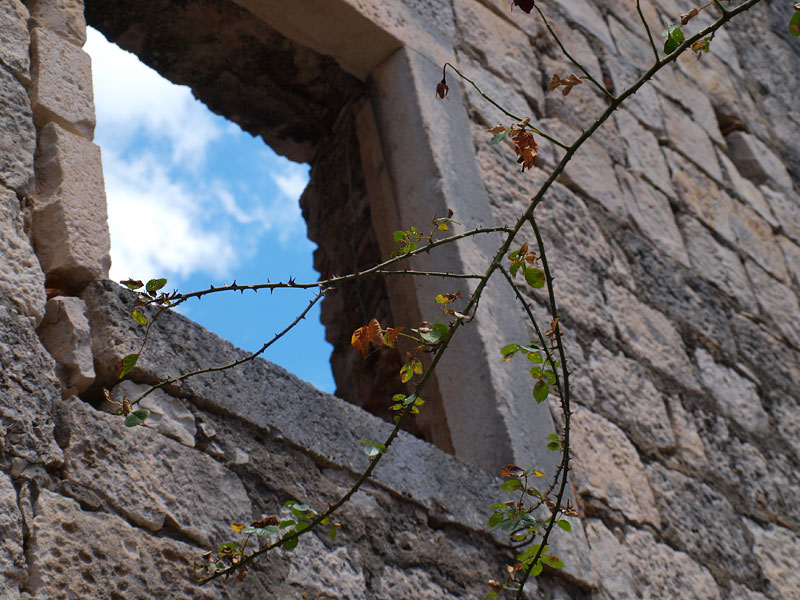 ������� ���������: ��� ��� �����. ������ �������