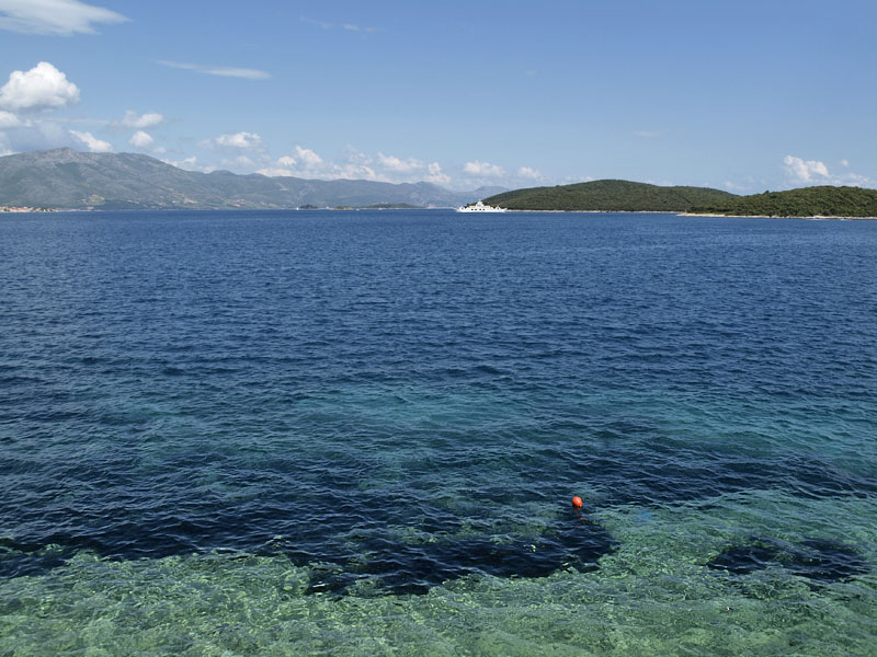 ������� ���������: ��� � ������� ������� �� ���������� �������. ������������� ����