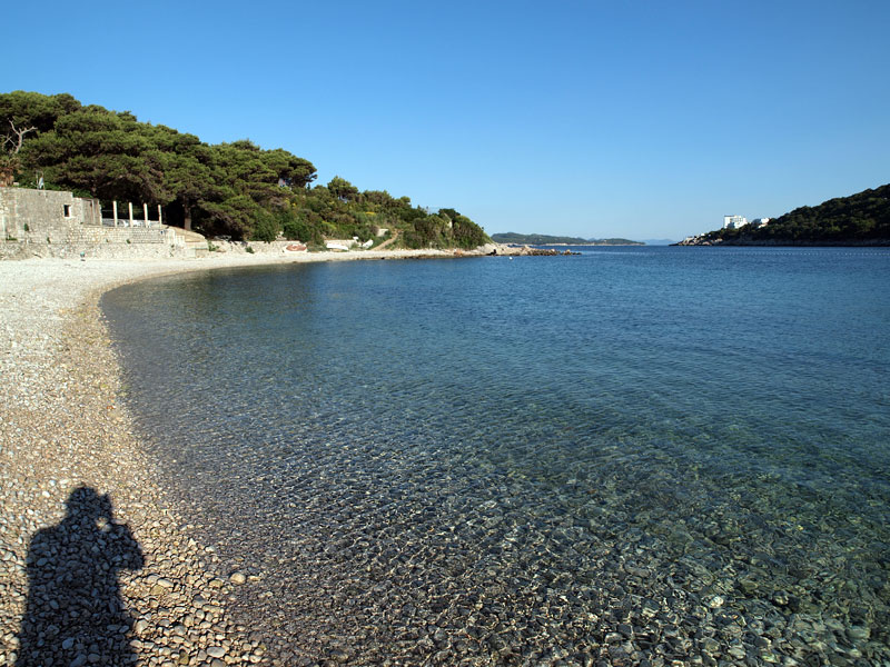 ������� ���������: ���� ���������. ���� �� �����