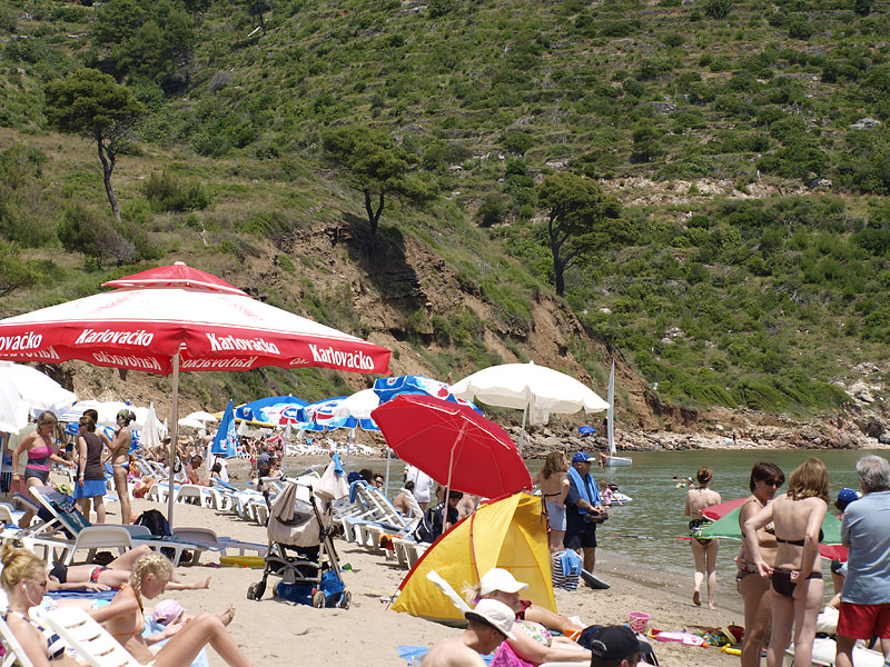 ������� ���������: ���������� �������� ����. �����