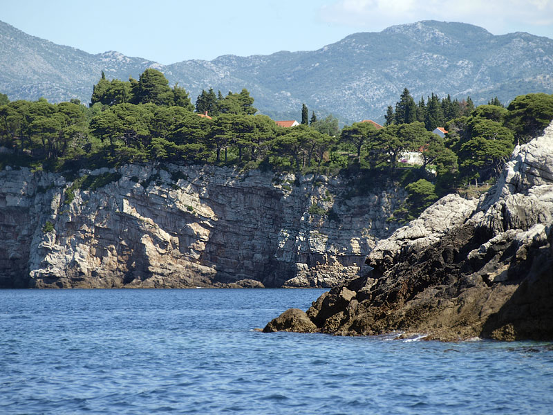 ������� ���������: � �� ������ ������ �������. ������ �������, ��� �������