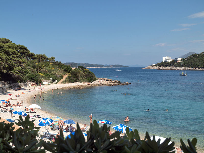 ������� ���������: ��� � �������. ����� VIS