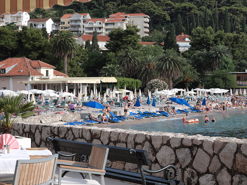 ������� ���������: �� ������ �������. ��������� ����