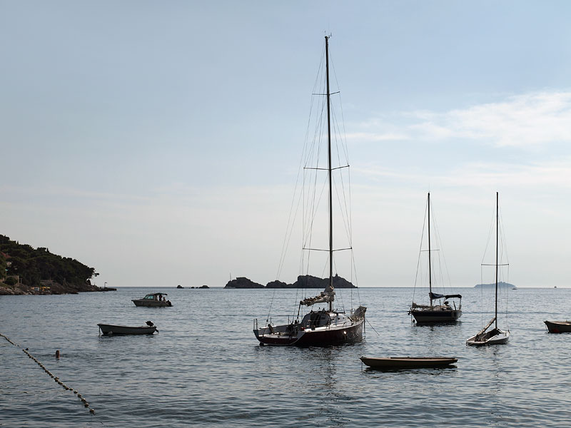 ������� ���������: ���� �� �����. ����� �����