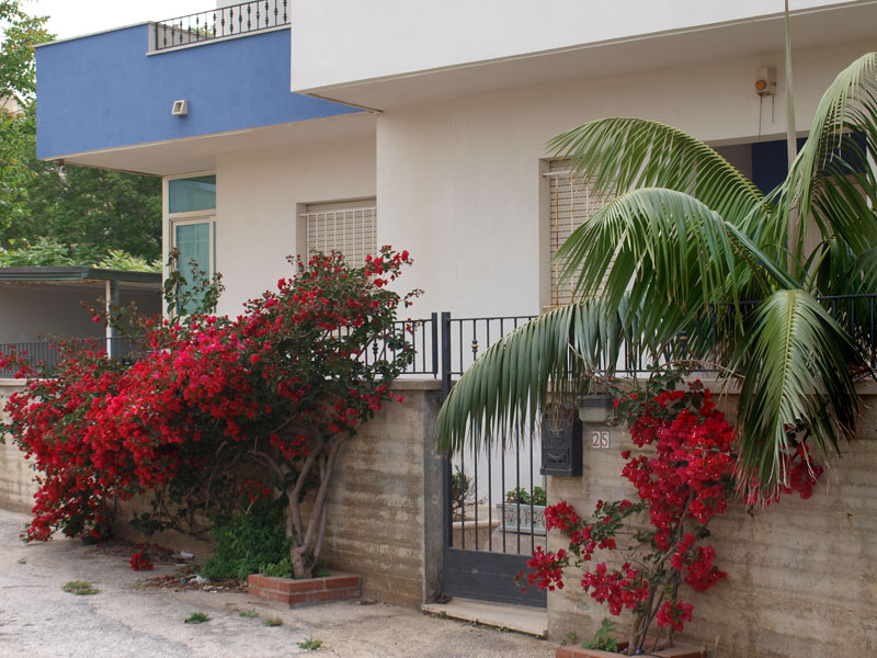 ������� ���������: Delphino Beach. �����������